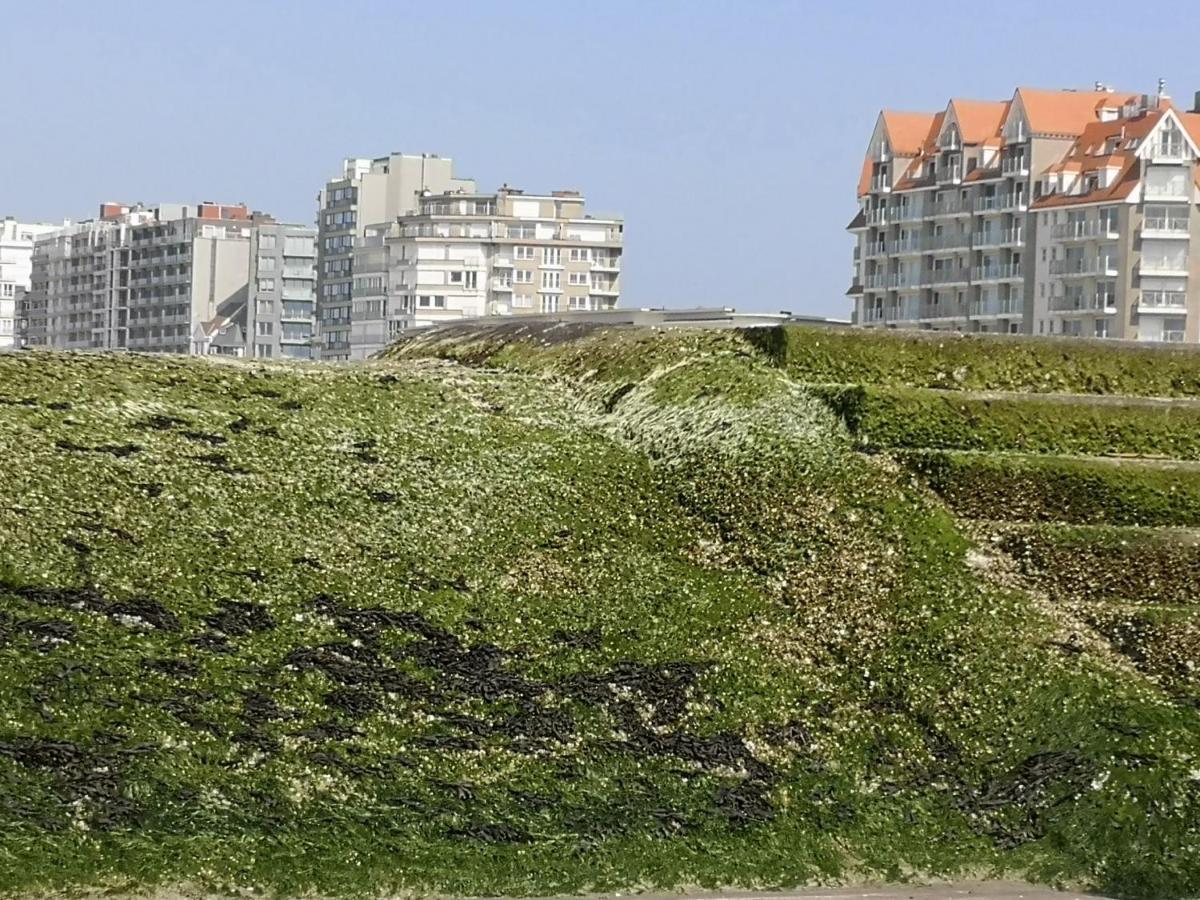 Westeinders Sea View Мідделкерке Екстер'єр фото
